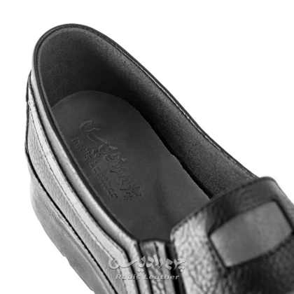 کفش روزمره زنانه چرم رادیس مدل DORSA کد 656-M.GF