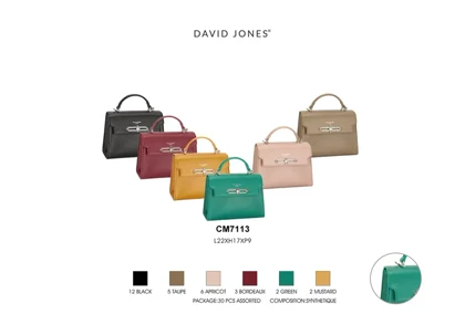 کیف دستی مدل David Jones CM7113