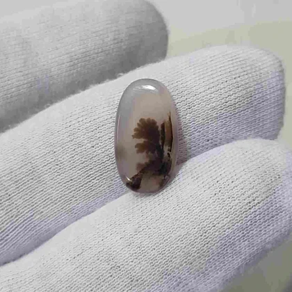 عقیق شجر قائن اصل کد 2