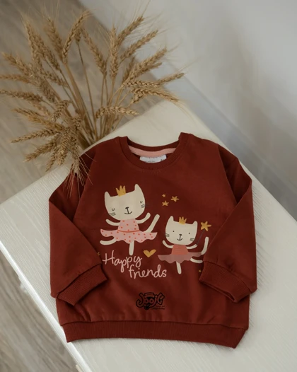 دورس طرح گربه