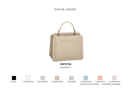 کیف دستی زنانه دیوید جونز مدل David Jones CM7274H