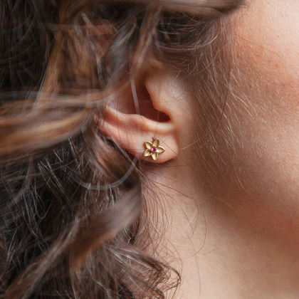 گل گوش بهار Bahar ear pins