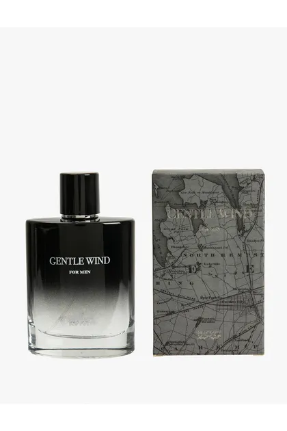 عطر باد ملایم 100 میلی لیتر 3SAM60008AA