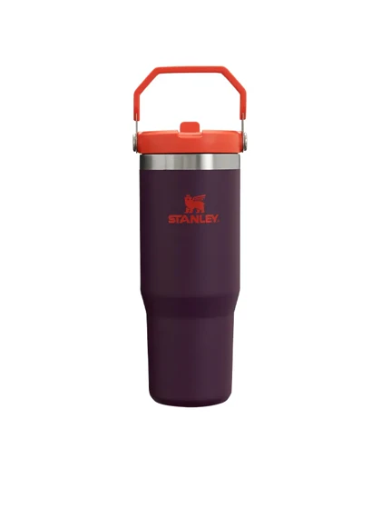 قمقمه استنلی نی دار مدل THE ICEFLOW FLIP STRAW TUMBLER