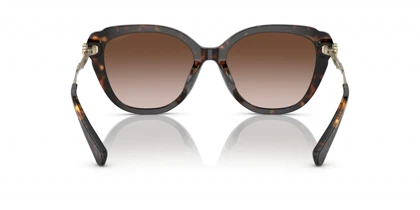 عینک آفتابی کوچ Coach HC8347B