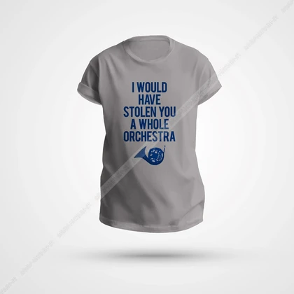 تیشرت Himym طرح Stole
