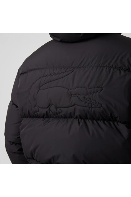 کت و ژاکت مردانه lacoste