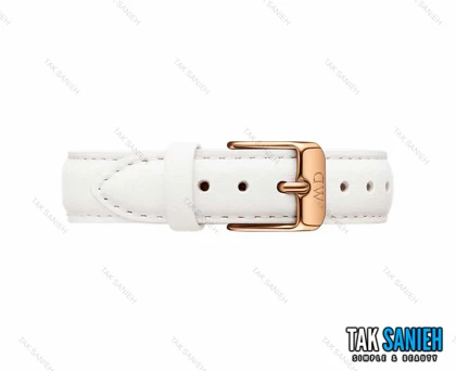 ساعت زنانه دنیل ولینگتون مدل Daniel-2486-L