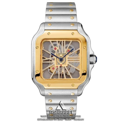 ساعت کارتیه د سانتوس Cartier De Santos SG-Sk9