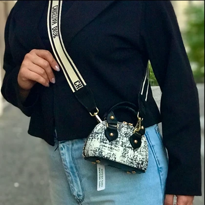 کیف مینی بگDior وارداتی