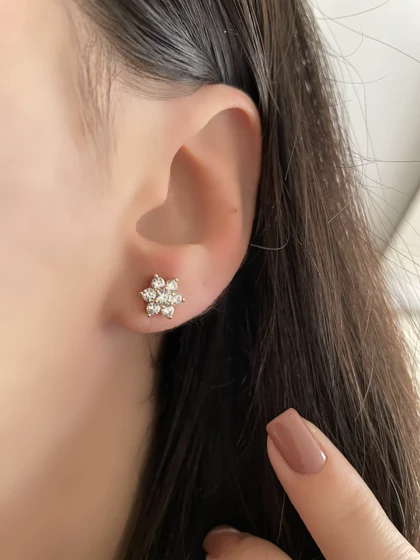 گلگوش میخی ژوپینگ