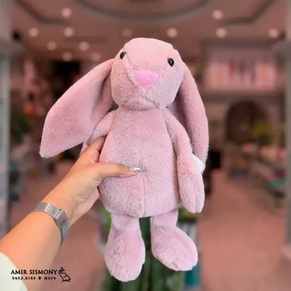 جبلی رابیت کیدزلند