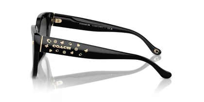عینک آفتابی کوچ Coach HC8392U