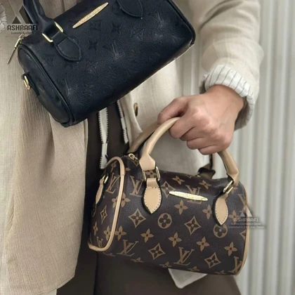 کیف دستی لویی ویتون Louis Vuitton HandBag A02