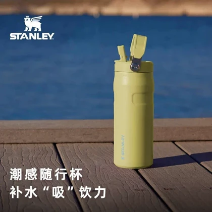 لیوان استیل عایق‌دار استنلی مدل Stanley Stay Chill Beer Pint با ظرفیت 480ml