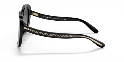 عینک آفتابی کوچ Coach HC8323U