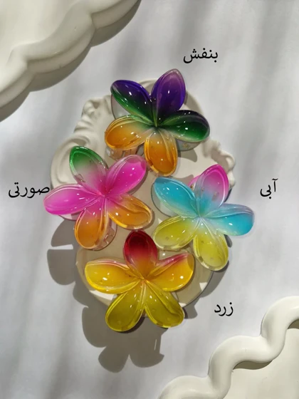کلیپس پلومریا رنگین کمان