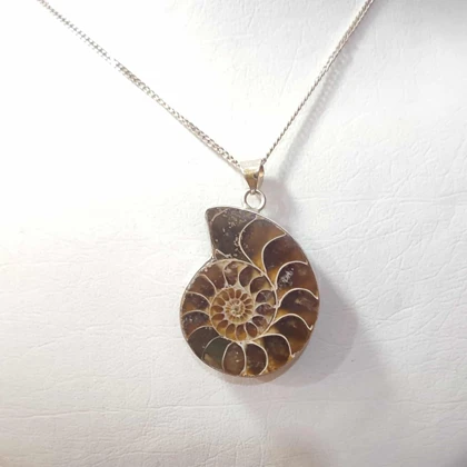 گردنبند نقره با فسیل آمونیت طبیعی اصل کد 62 (بدون زنجیر)