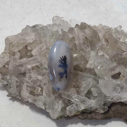 عقیق شجر قائن اصل کد 21