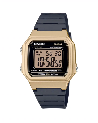 ساعت مچی کاسیو CASIO W-217HM-9AV