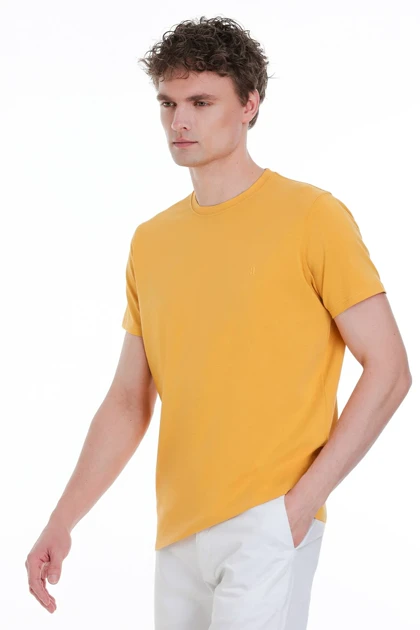 تیشرت مردانه hatemoglu