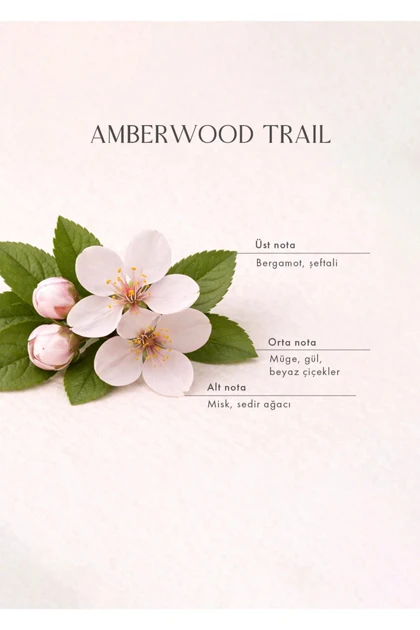 خوشبوکننده اتاق با چوبک Bella Maison مدل Amberwood Trail