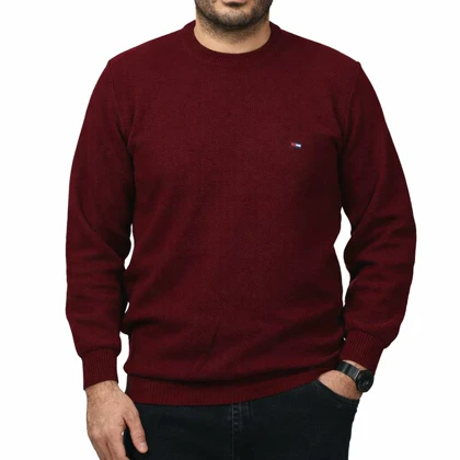 پلیور بافت فندوقی مردانه مدل 659851