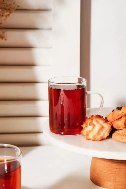 لیوان دسته دار دلی 270 میل