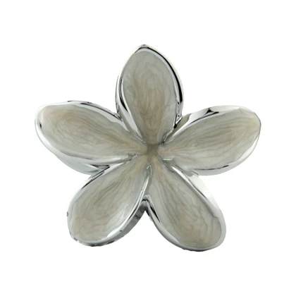 کلیپس دخترانه فانتزی پلومریا