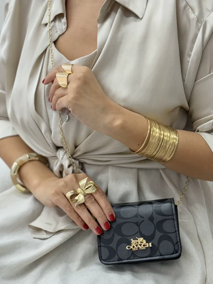 مینی بگ دراج