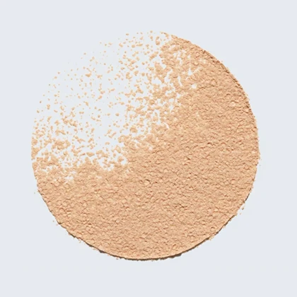 پودر فیکساتور آرایش مات‌کننده استی لادر, مدل Double Wear رنگ Light Matte وزن 25 گرم