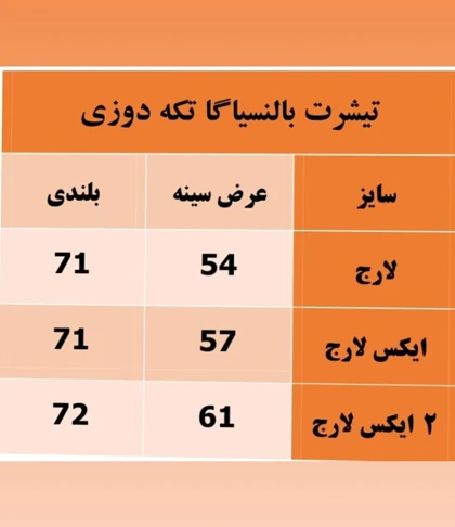 تیشرت بالنسیاگا تکه دوزی و گلدوزی