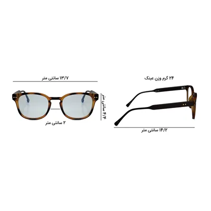عینک بلوکات الیور پیپل