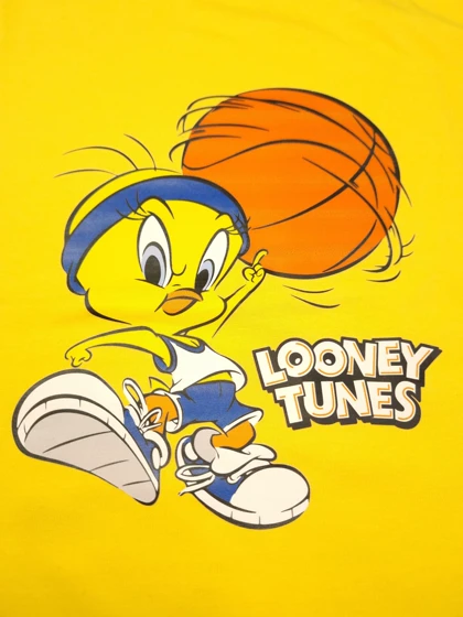 تیشرت دخترانه طرح تویتی سیلکا