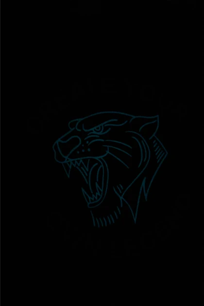 تیشرت بچگانه اورجینال دیفکتو defacto