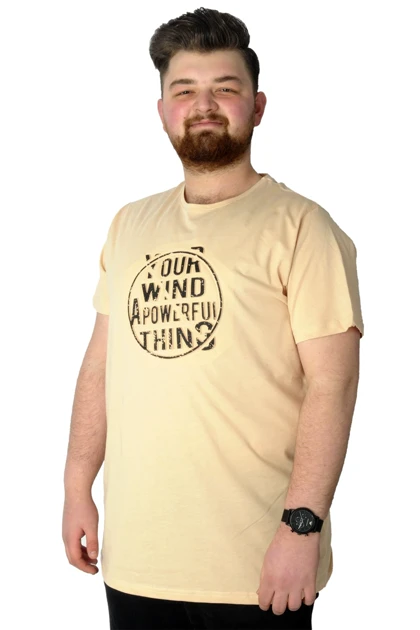 تیشرت سایز بزرگ مردانه modexl