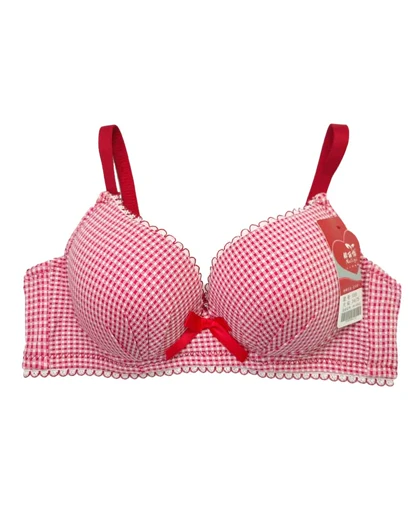 سوتین زنانه اسفنجی چهارخونه ریز سیلکا