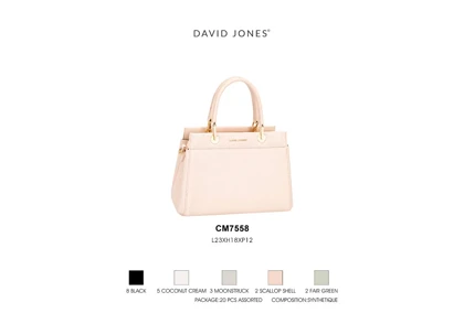 کیف دستی زنانه دیوید جونز مدل David Jones CM7558