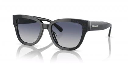 عینک آفتابی کوچ Coach HC8379U