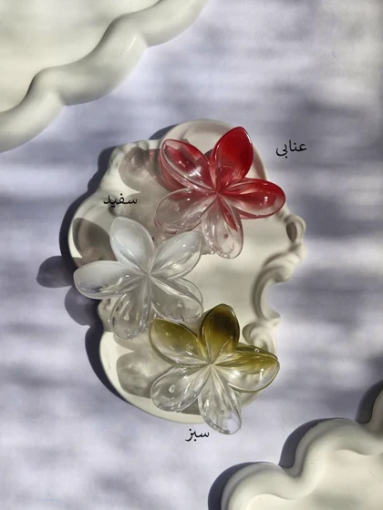 کلیپس پلومریای شیشه ای آبرنگی