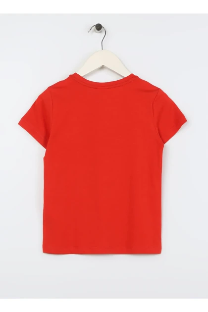 تیشرت مردانه u.s.-polo-assn.