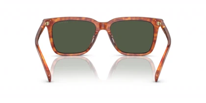 عینک آفتابی کوچ Coach HC8385U