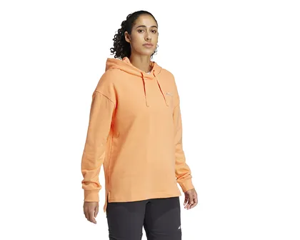 سویشرت های فضای باز Adidas W Terrex Logo Hoody PC_IS7227