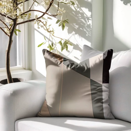 کوسن Pillow modern456