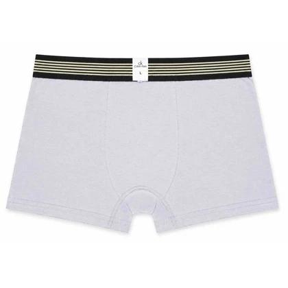 شورت پادار مردانه کلوین کلاین مدل 5C0289 سایز لارج