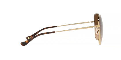 عینک آفتابی کوچ Coach HC7133S