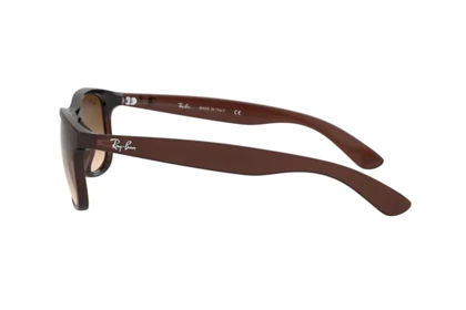 عینک آفتابی ریبن RayBan RB 4202
