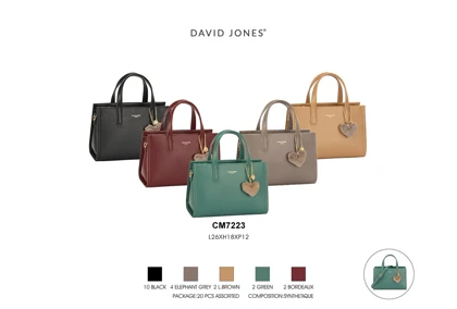 کیف دستی مدل David Jones CM7223