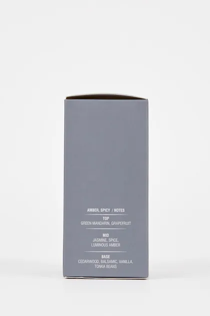 عطر مردانه خاکستری آروماتیک 50 میلی لیتری L4179azns L4179AZNS