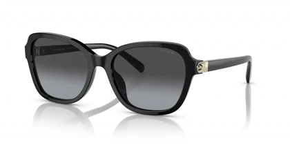 عینک آفتابی کوچ Coach HC8349U